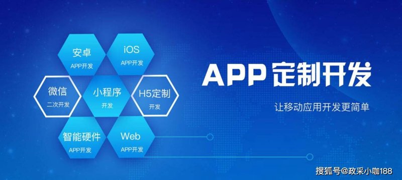 选择哈尔滨软件开发服务的攻略